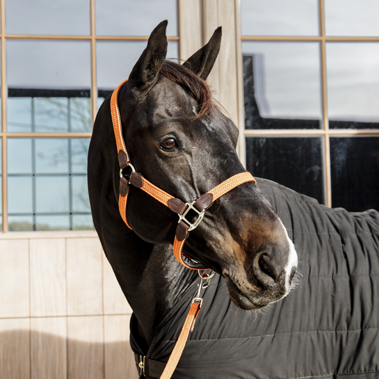 Kentucky Horsewear Nylon Gevlochten Halster Oranje Kentucky Horsewear Nylon Gevlochten Halster Oranje