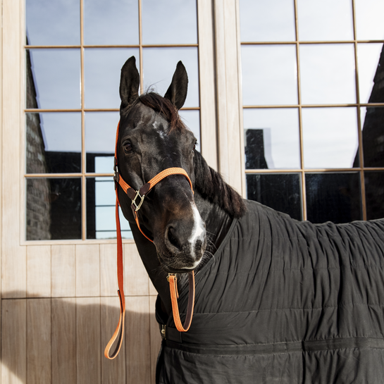 Kentucky Horsewear Gevlochten Nylon Halsterlijn Kentucky Horsewear Gevlochten Nylon Halsterlijn
