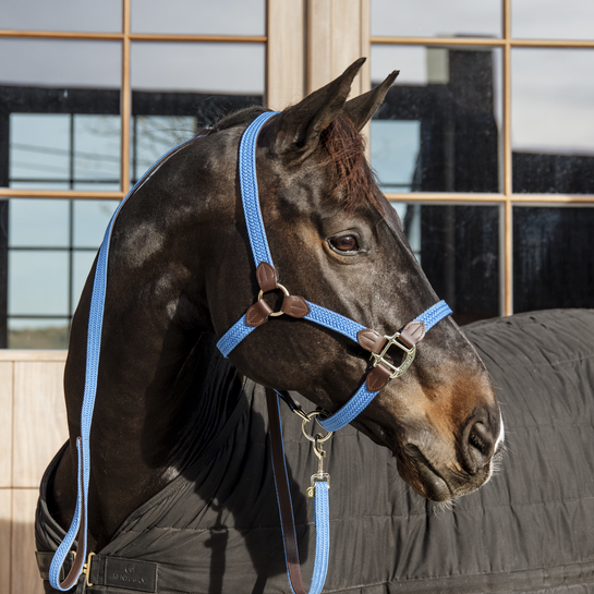 Kentucky Horsewear Nylon Gevlochten Halster Licht Blauw, ook leverbaar in 7 andere kleuren Kentucky Horsewear Nylon Gevlochten Halster Licht Blauw, ook leverbaar in 7 andere kleuren
