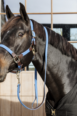 Kentucky Horsewear Nylon Gevlochten Halster Licht Blauw, ook leverbaar in 7 andere kleuren Kentucky Horsewear Nylon Gevlochten Halster Licht Blauw, ook leverbaar in 7 andere kleuren