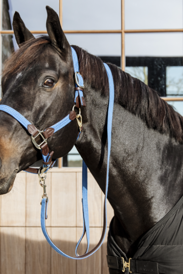 Kentucky Horsewear Nylon Gevlochten Halster Licht Blauw, ook leverbaar in 7 andere kleuren Kentucky Horsewear Nylon Gevlochten Halster Licht Blauw, ook leverbaar in 7 andere kleuren