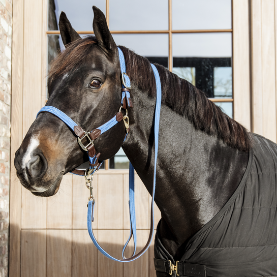 Kentucky Horsewear Nylon Gevlochten Halster Licht Blauw, ook leverbaar in 7 andere kleuren Kentucky Horsewear Nylon Gevlochten Halster Licht Blauw, ook leverbaar in 7 andere kleuren