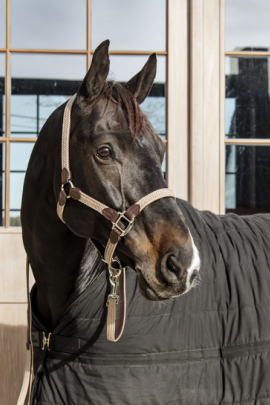 Kentucky Horsewear Plaited Nylon Halter Beige, also Avaible in more colors Kentucky Horsewear Plaited Nylon Halter Beige, also Avaible in more colors