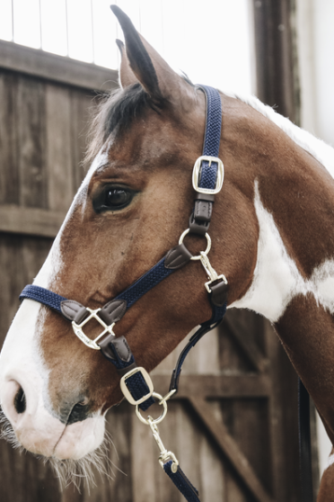 Kentucky Horsewear Nylon Gevlochten Halster donkerblauw, leverbaar in 8 kleuren. Kentucky Horsewear Nylon Gevlochten Halster donkerblauw, leverbaar in 8 kleuren.