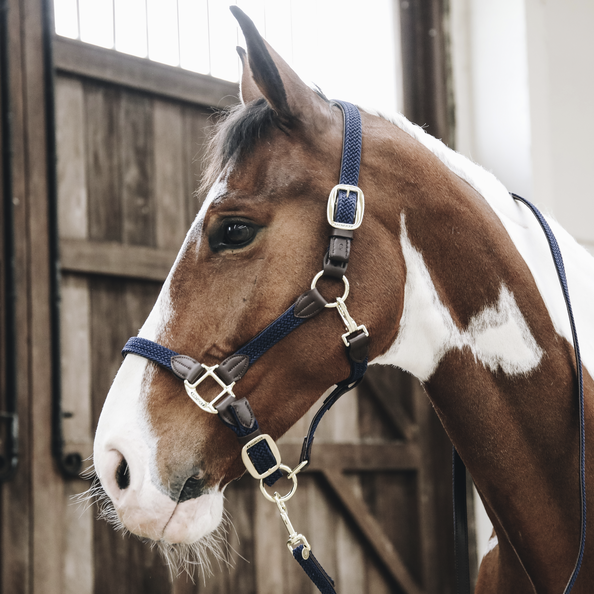 Kentucky Horsewear Nylon Gevlochten Halster donkerblauw, leverbaar in 8 kleuren. Kentucky Horsewear Nylon Gevlochten Halster donkerblauw, leverbaar in 8 kleuren.