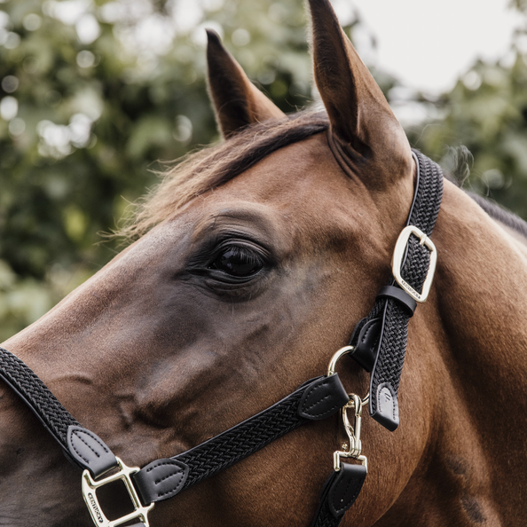 Kentucky Horsewear Nylon Gevlochten Halster zwart, leverbaar in 8 kleuren. Kentucky Horsewear Nylon Gevlochten Halster zwart, leverbaar in 8 kleuren.