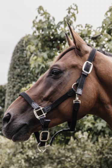 Kentucky Horsewear Nylon Gevlochten Halster zwart, leverbaar in 8 kleuren. Kentucky Horsewear Nylon Gevlochten Halster zwart, leverbaar in 8 kleuren.