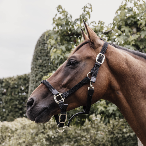 Kentucky Horsewear Nylon Gevlochten Halster zwart, leverbaar in 8 kleuren. Kentucky Horsewear Nylon Gevlochten Halster zwart, leverbaar in 8 kleuren.