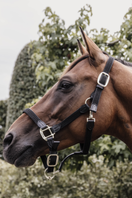 Kentucky Horsewear Nylon Gevlochten Halster zwart, leverbaar in 8 kleuren. Kentucky Horsewear Nylon Gevlochten Halster zwart, leverbaar in 8 kleuren.