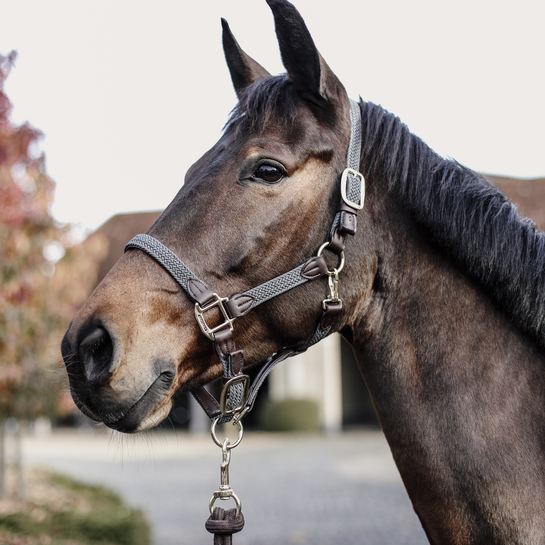 Kentucky Horsewear Nylon Gevlochten Halster grijs, leverbaar in 7 kleuren. Kentucky Horsewear Nylon Gevlochten Halster grijs, leverbaar in 7 kleuren.