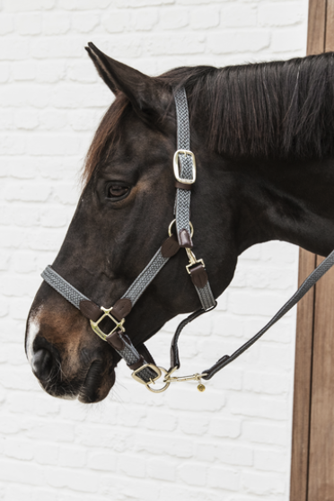 Kentucky Horsewear Nylon Gevlochten Halster grijs, leverbaar in 7 kleuren. Kentucky Horsewear Nylon Gevlochten Halster grijs, leverbaar in 7 kleuren.