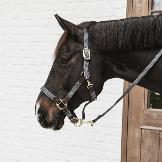 Kentucky Horsewear Nylon Gevlochten Halster grijs, leverbaar in 7 kleuren. Kentucky Horsewear Nylon Gevlochten Halster grijs, leverbaar in 7 kleuren.