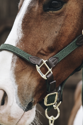 Kentucky Horsewear Nylon Gevlochten Halster Olijfgroen, leverbaar in7 kleuren. Kentucky Horsewear Nylon Gevlochten Halster Olijfgroen, leverbaar in7 kleuren.