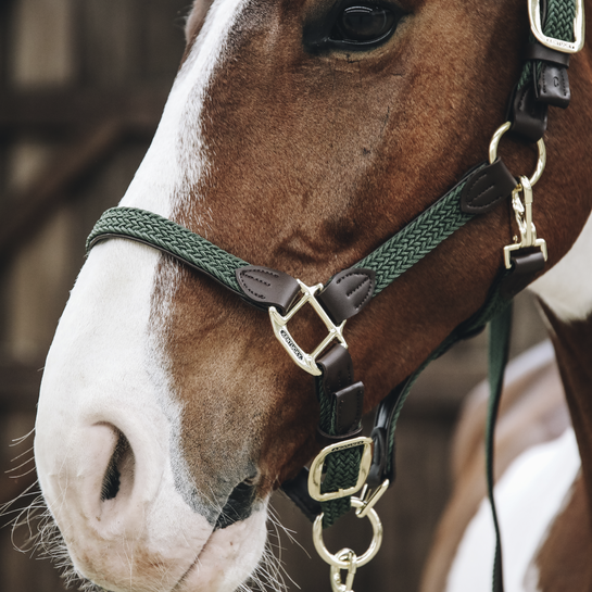 Kentucky Horsewear Nylon Gevlochten Halster Olijfgroen, leverbaar in7 kleuren. Kentucky Horsewear Nylon Gevlochten Halster Olijfgroen, leverbaar in7 kleuren.