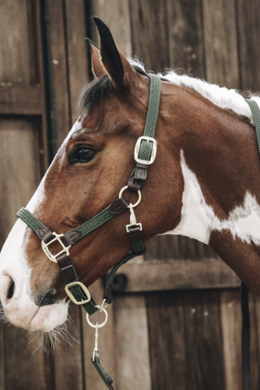 Kentucky Horsewear Nylon Gevlochten Halster Olijfgroen, leverbaar in7 kleuren. Kentucky Horsewear Nylon Gevlochten Halster Olijfgroen, leverbaar in7 kleuren.