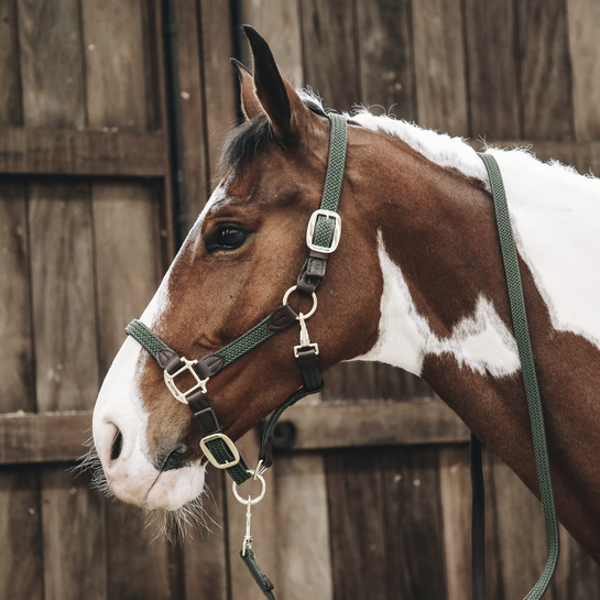Kentucky Horsewear Nylon Gevlochten Halster Olijfgroen, leverbaar in7 kleuren. Kentucky Horsewear Nylon Gevlochten Halster Olijfgroen, leverbaar in7 kleuren.