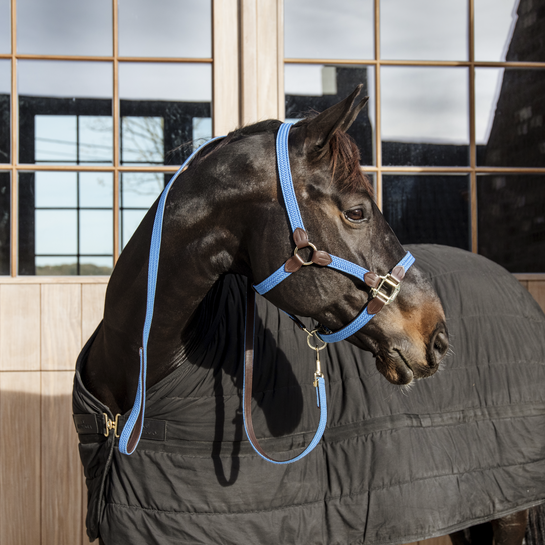 Kentucky Horsewear Gevlochten Nylon Halsterlijn in de kleur licht blauw Kentucky Horsewear Gevlochten Nylon Halsterlijn in de kleur licht blauw
