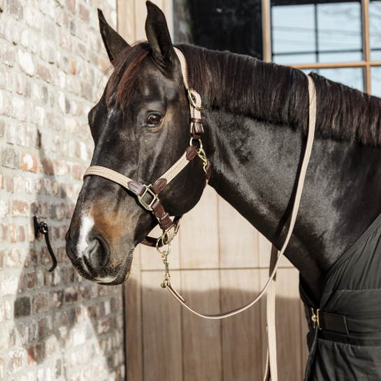 Kentucky Horsewear Gevlochten Nylon Halsterlijn in de kleur beige Kentucky Horsewear Gevlochten Nylon Halsterlijn in de kleur beige