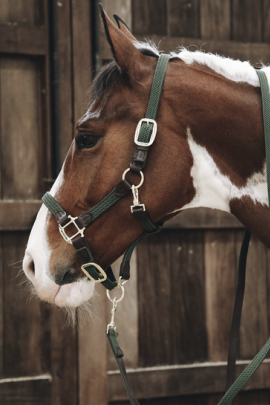 Kentucky Horsewear Gevlochten Nylon Halsterlijn in de kleur olijf groen Kentucky Horsewear Gevlochten Nylon Halsterlijn in de kleur olijf groen