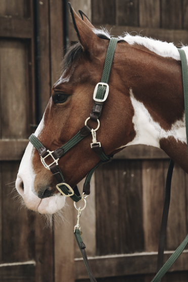 Kentucky Horsewear Gevlochten Nylon Halsterlijn in de kleur olijf groen Kentucky Horsewear Gevlochten Nylon Halsterlijn in de kleur olijf groen