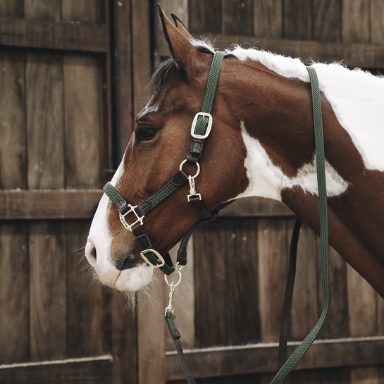 Kentucky Horsewear Gevlochten Nylon Halsterlijn in de kleur olijf groen Kentucky Horsewear Gevlochten Nylon Halsterlijn in de kleur olijf groen