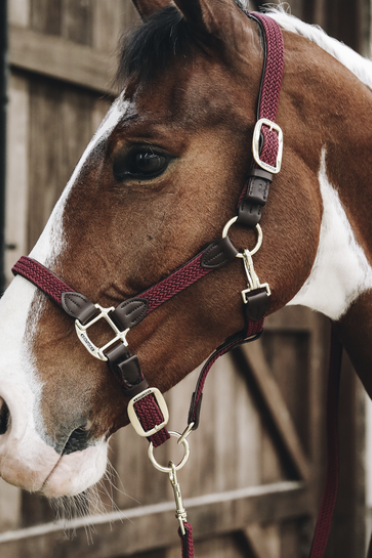 Kentucky Horsewear Gevlochten Nylon Halsterlijn in de kleur bordeaux Kentucky Horsewear Gevlochten Nylon Halsterlijn in de kleur bordeaux