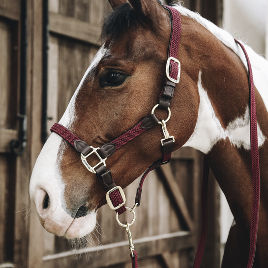 Kentucky Horsewear Gevlochten Nylon Halsterlijn in de kleur bordeaux Kentucky Horsewear Gevlochten Nylon Halsterlijn in de kleur bordeaux