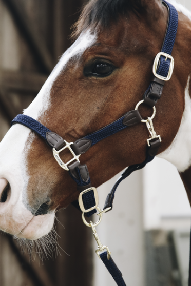 Kentucky Horsewear Gevlochten Nylon Halsterlijn Donkerblauw Kentucky Horsewear Gevlochten Nylon Halsterlijn Donkerblauw