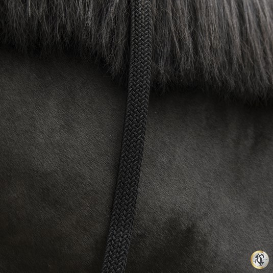 Ridershouse: Kentucky Horsewear Gevlochten Nylon Halsterlijn Ridershouse: Kentucky Horsewear Gevlochten Nylon Halsterlijn
