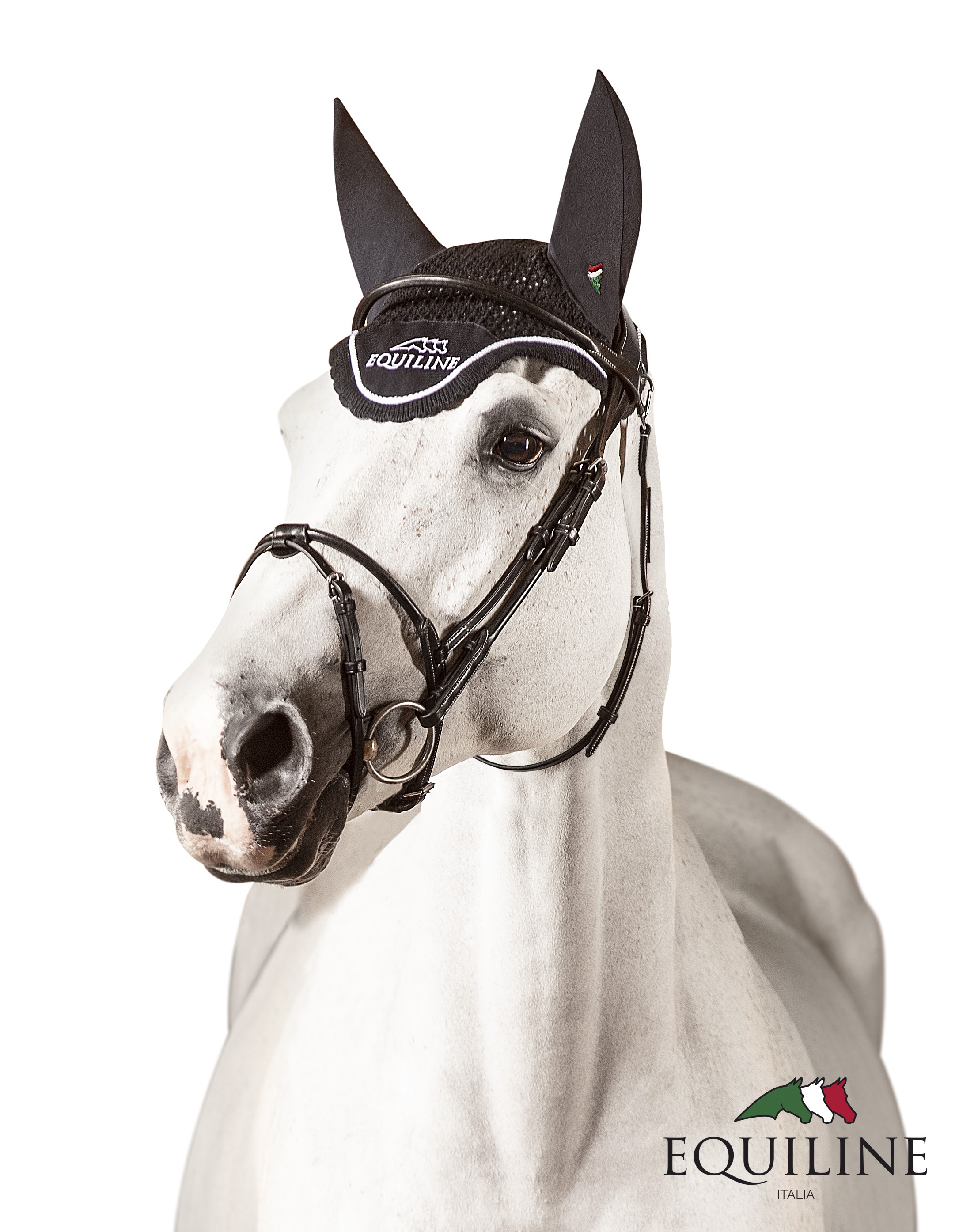 Equiline Ear Net Outline