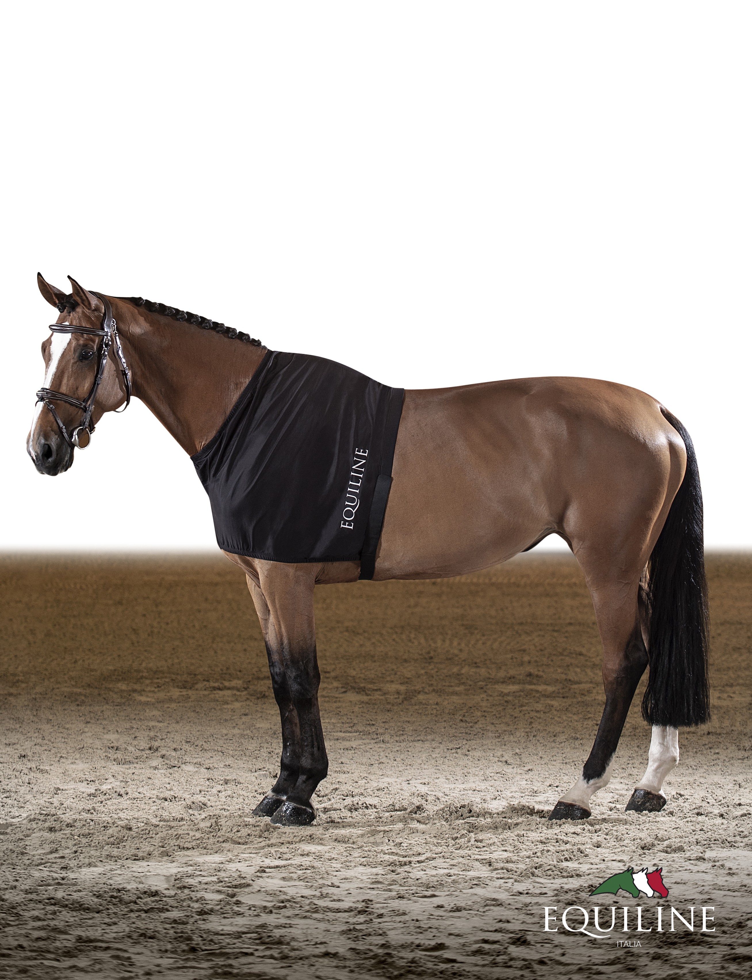 Equiline Borst Beschermer Edinburgh Equiline Borst Beschermer Edinburgh