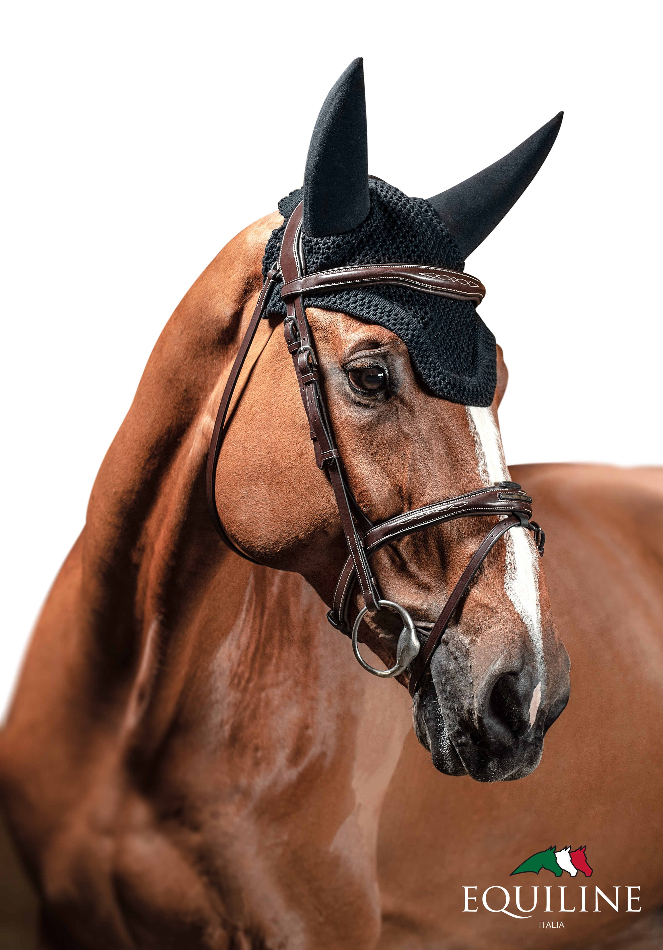 Equiline Soundless Oornet Dave Equiline Soundless Oornet Dave