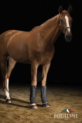 Equiline Therapeutische Stalbandage Cairo