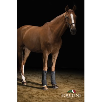 Equiline Therapeutic Stable Boots Cairo
