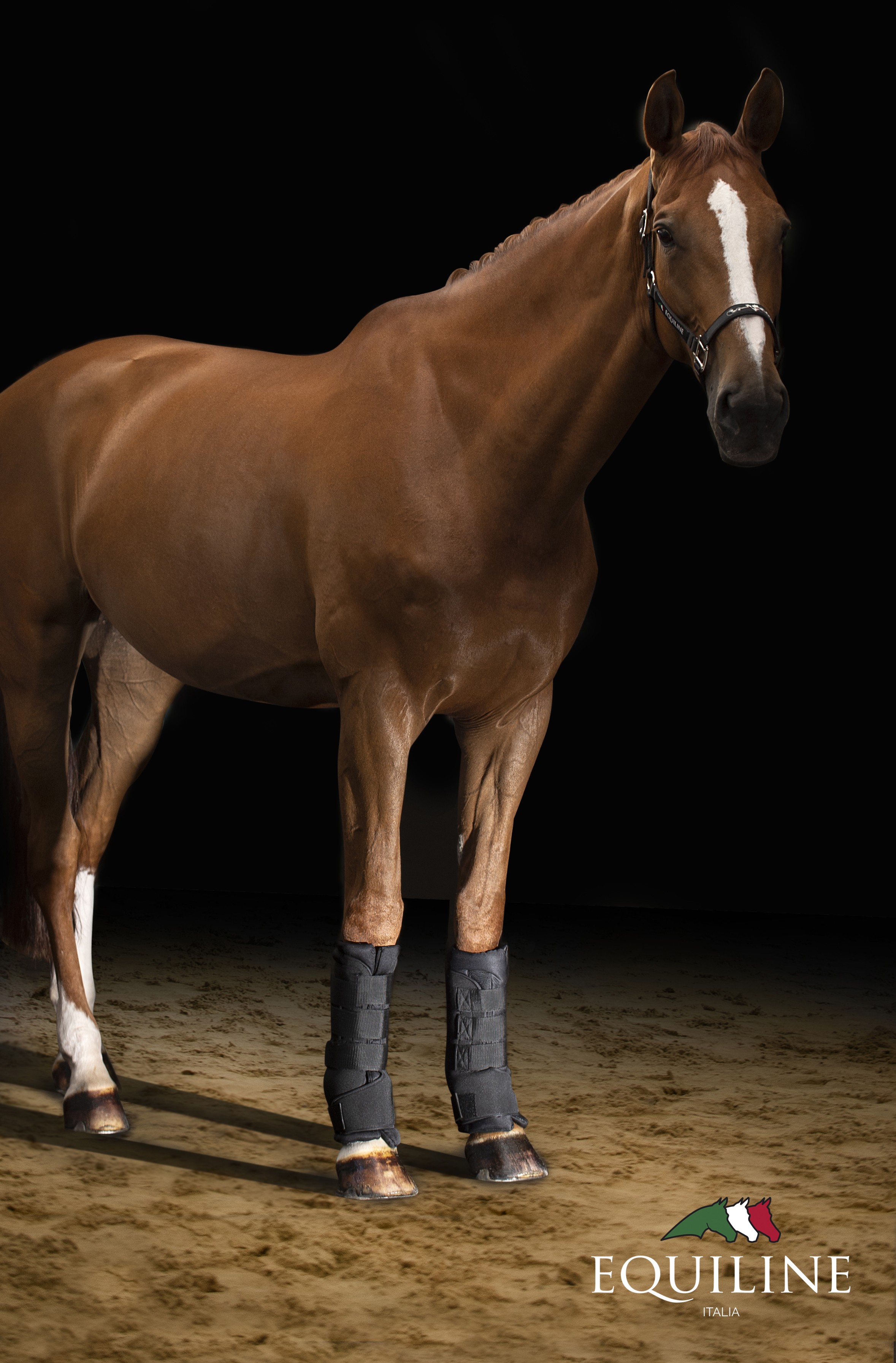 Equiline Therapeutische Stalbandage Cairo