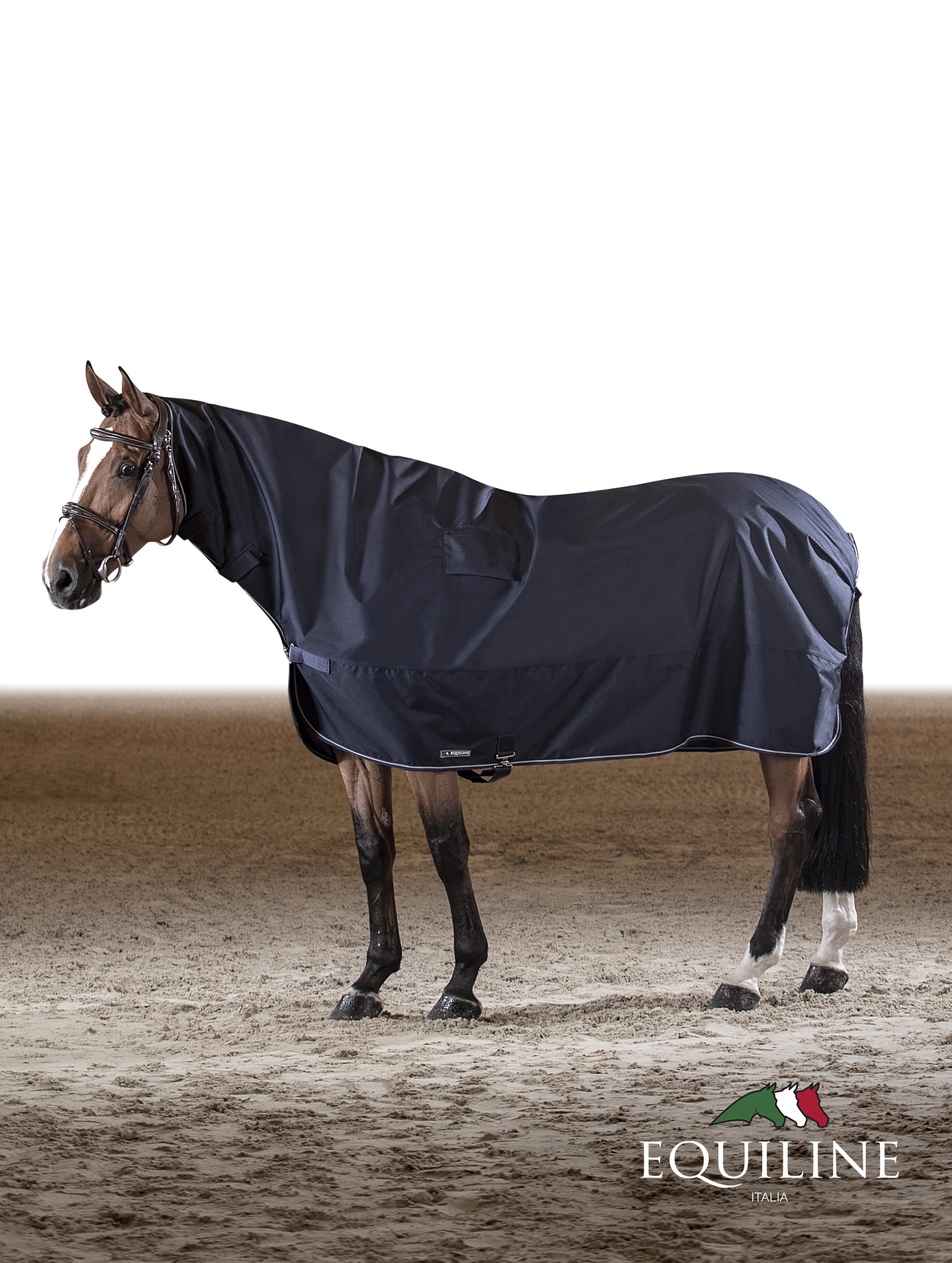 Equiline Regendeken Corby
