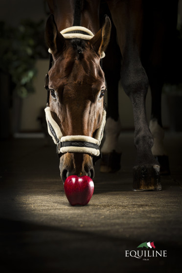 Equiline Halster Tom
