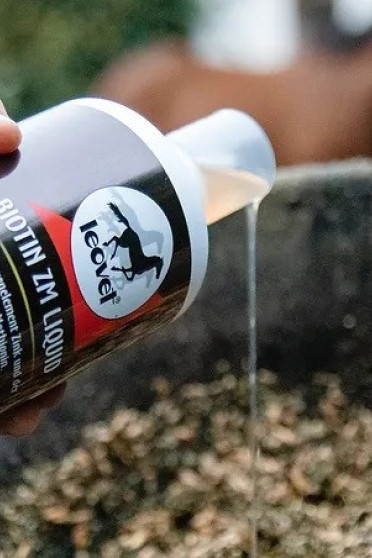 Ridershouse - Leovet, Biotine Liquid for healty Horn for your horse. 1 Liter