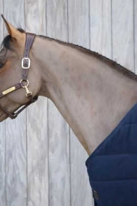 Kentucky Horsewear Huidvriendelijke Onderdeken Kentucky Horsewear Huidvriendelijke Onderdeken