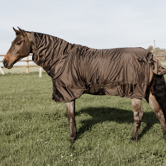 Kentucky Horsewear Turnout Rug All Weather 160 GR brown, rain blacket with linning Kentucky Horsewear Turnout Rug All Weather 160 GR brown, rain blacket with linning