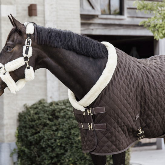 Ridershouse Kentucky Horsewear Show Rug, also available in more colors Ridershouse Kentucky Horsewear Show Rug, also available in more colors