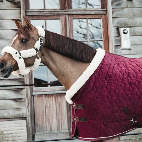 Kentucky Horsewear Show Rug Velvet 160G Bordeaux, ook leverbaar in andere kleuren Kentucky Horsewear Show Rug Velvet 160G Bordeaux, ook leverbaar in andere kleuren