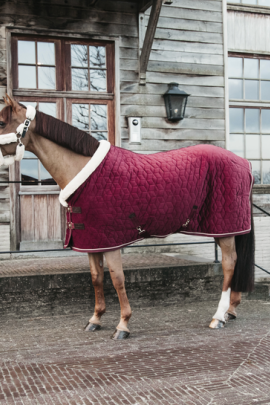 Kentucky Horsewear Show Rug Velvet 160G Bordeaux, also available in more colors