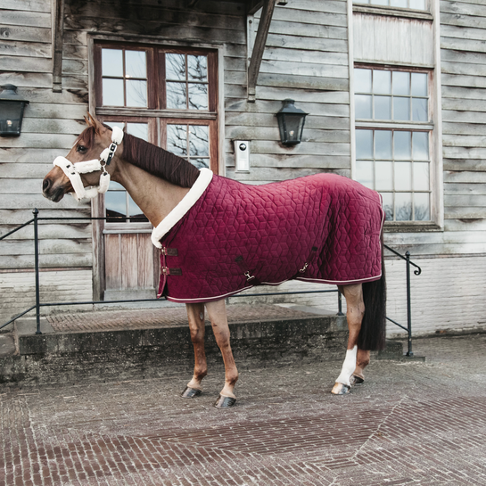 Kentucky Horsewear Show Rug Velvet 160G Bordeaux, ook leverbaar in andere kleuren Kentucky Horsewear Show Rug Velvet 160G Bordeaux, ook leverbaar in andere kleuren