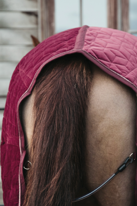 Kentucky Horsewear Show Rug Velvet 160G Bordeaux, ook leverbaar in andere kleuren Kentucky Horsewear Show Rug Velvet 160G Bordeaux, ook leverbaar in andere kleuren