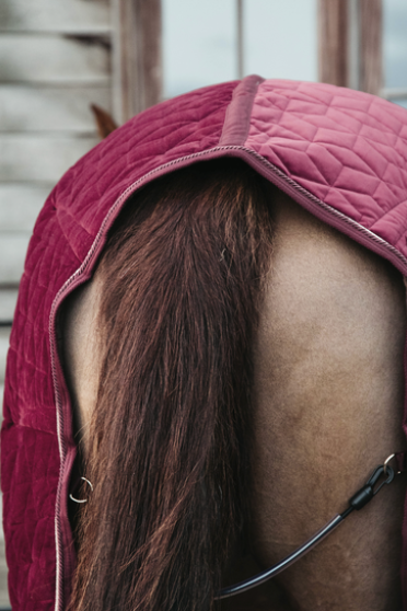 Kentucky Horsewear Show Rug Velvet 160G Bordeaux, ook leverbaar in andere kleuren Kentucky Horsewear Show Rug Velvet 160G Bordeaux, ook leverbaar in andere kleuren