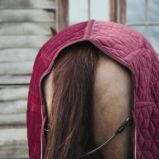 Kentucky Horsewear Show Rug Velvet 160G Bordeaux, ook leverbaar in andere kleuren Kentucky Horsewear Show Rug Velvet 160G Bordeaux, ook leverbaar in andere kleuren