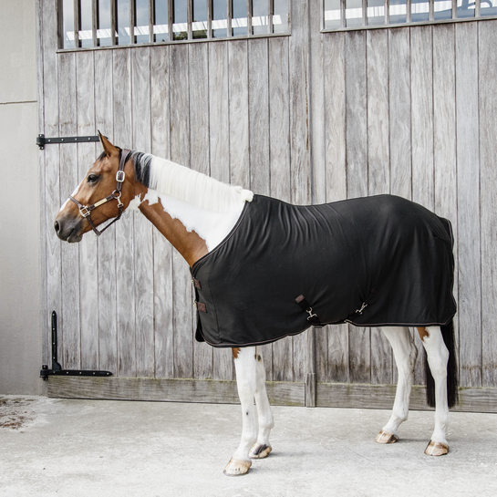 Ideale fleecedeken om je paard te drogen na training of na het wassen. Ideale fleecedeken om je paard te drogen na training of na het wassen.