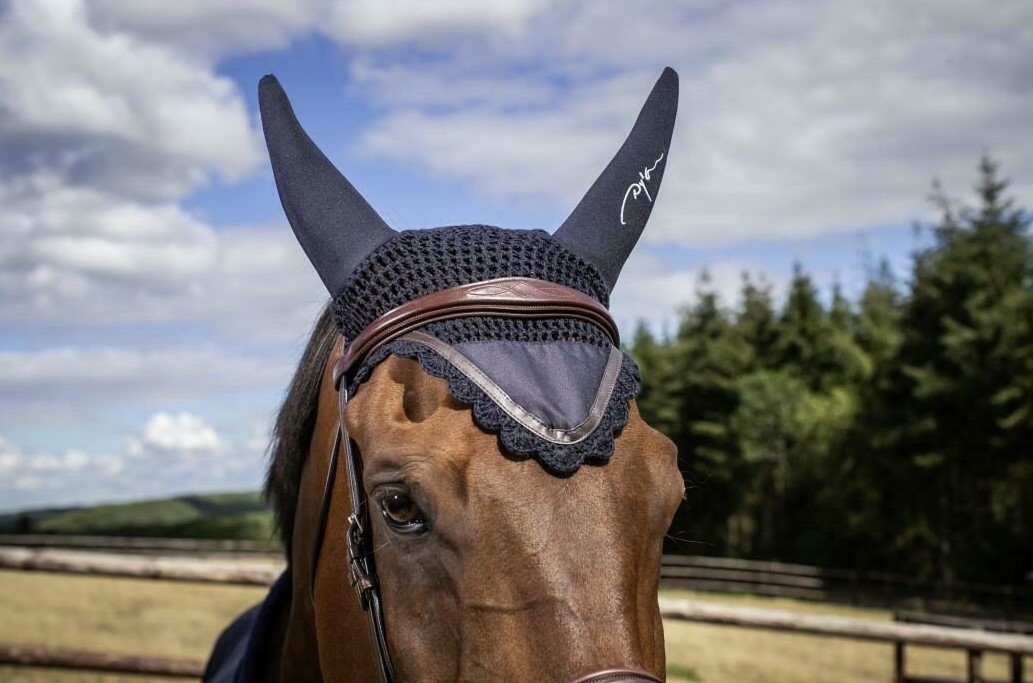 Dyon Anatomic Browband - In the color Black and Brown - Ridershouse.com Dyon Anatomic Browband - In the color Black and Brown - Ridershouse.com