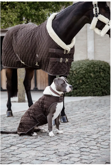 Kentucky Horsewear Hondendekentje extra zacht gevoerd, Iets voor jou? Kentucky Horsewear Hondendekentje extra zacht gevoerd, Iets voor jou?